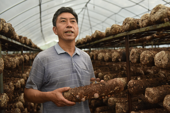 河口镇梅江村村民张文柳拥有2个食用菌大棚，生活过得有滋有味。