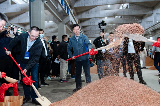 杭州下沙SPA 2025年高端养生新趋势，全面解析杭州热门场所和服务