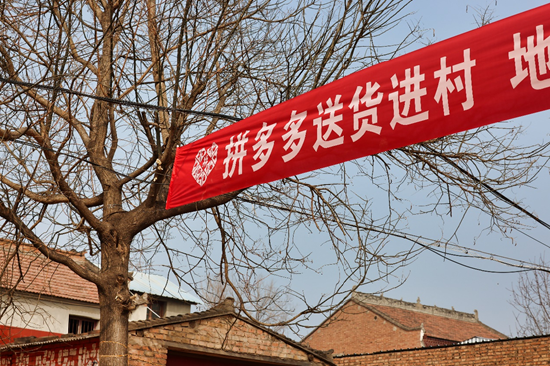 ▲2025年四季度起，拼多多将在西部反复被验证过的“分段运输+二段集运+中转费减免”模式，延伸至多个省、市进村快递“最后一公里”的攻坚上。张宸豪|摄