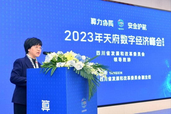 (图:省发改委党组成员、副主任杨昕致辞)