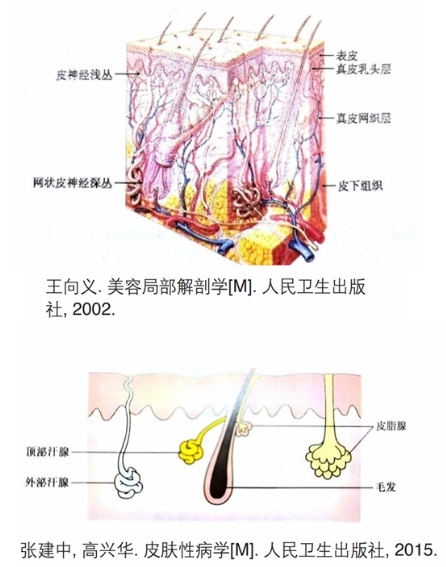 柏翠丝化妆棉好用吗 柏翠丝面膜使用体验分享