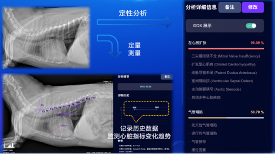 “通通宠AI”兽医影像辅助诊断