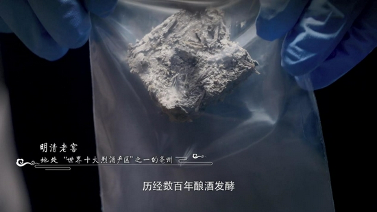 探索老窖中的微生物