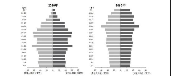 中国2020年、2050年人口年龄结构预测