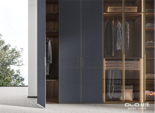 衣柜定制品牌排行榜_最新高端定制十大品牌(2)