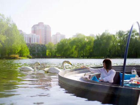 天鹅食堂，在北京城的湖中央，邀你跟天鹅一起不拘一格吃早饭。