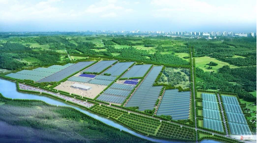 金诚集团的金坛农业基地