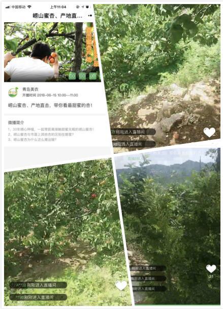 4.农业达人带你走进灵山荔枝基地