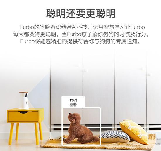 专家验证，打造贴心狗狗“保姆”