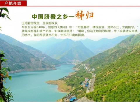 神奇的北续30°,成就了秭归一年四季有鲜橙