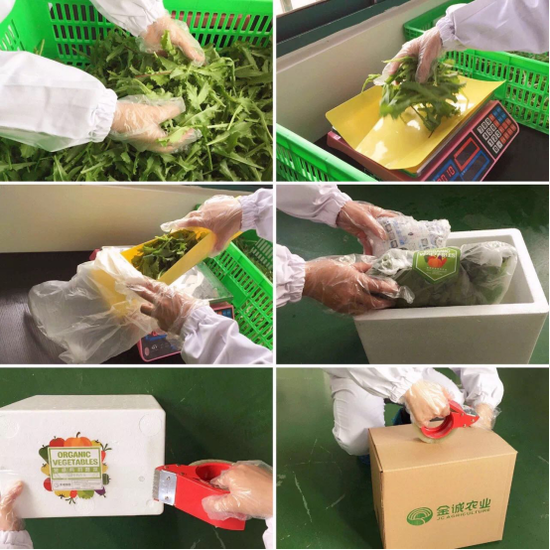 /严格的包装工艺