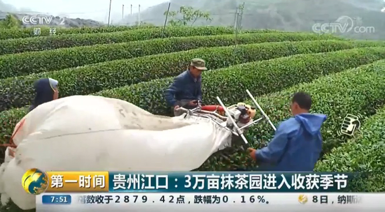 三、如何打造高品质的国际抹茶