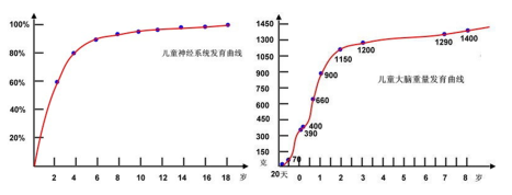 0-8岁是神经系统发育最快速的时期