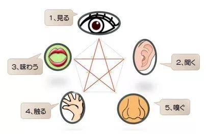 目前这套设备的售价为23万8000日元,