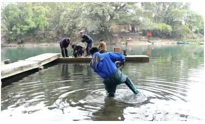 等等等等，惊险度堪比国际动作大片