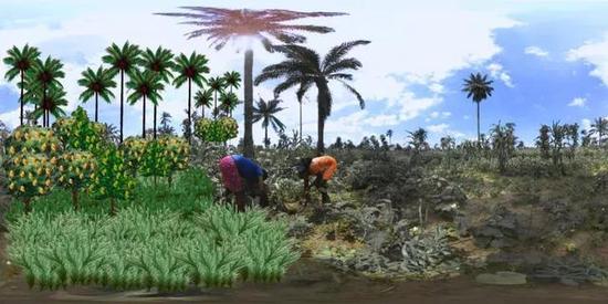 尼日利亚石油泄漏破坏生态 VR纪录片《Oil In Our Creeks》带你感受环境变化