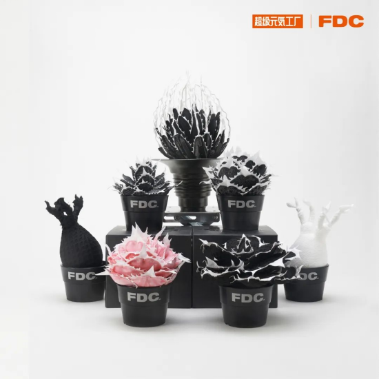 FDC潮流块根植物