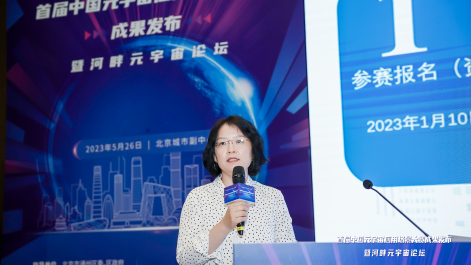 北京大数据协会元宇宙专业委员会主任姜春玲做大赛成果的报告