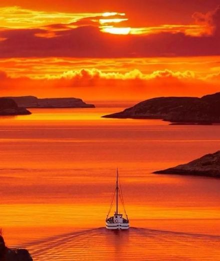 论文：《绝作》《原创诃痴》