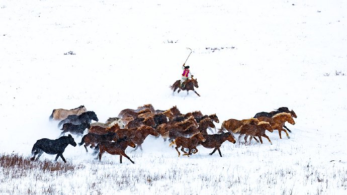雪野驰骏·牧鞭唤春