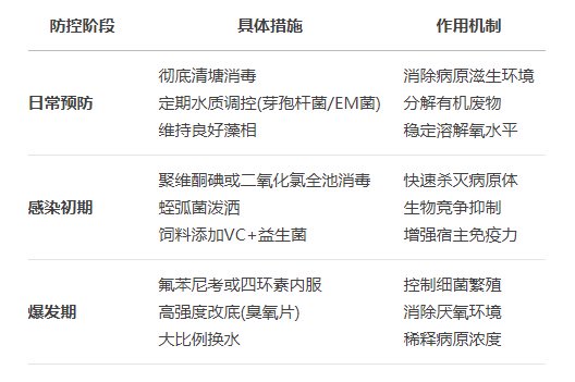 哈维氏弧菌的病原特征与致病机制及流行特点与防控措施！