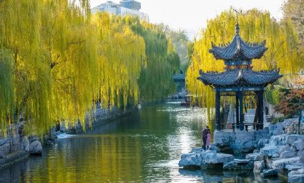 （1022）坦然（八）