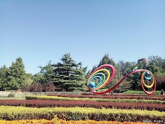 【秋枫诗歌189】聚焦读诗感渐入佳境等