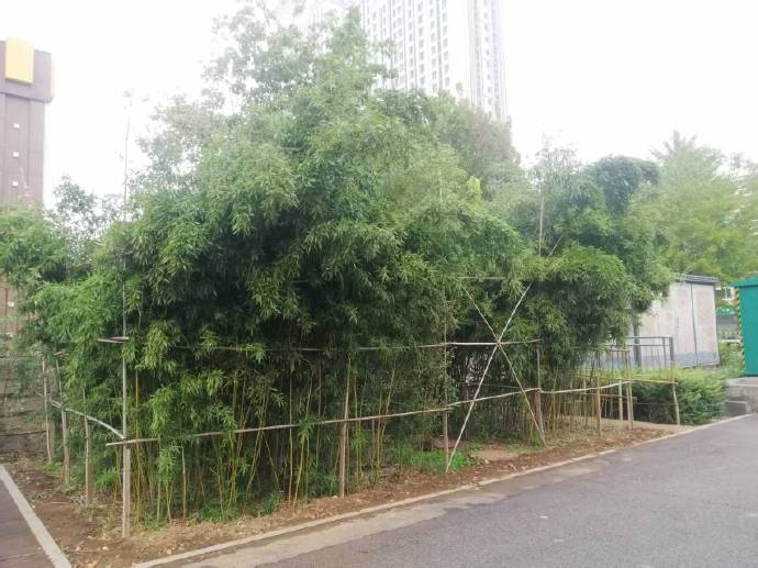 全力以赴做好出行准备