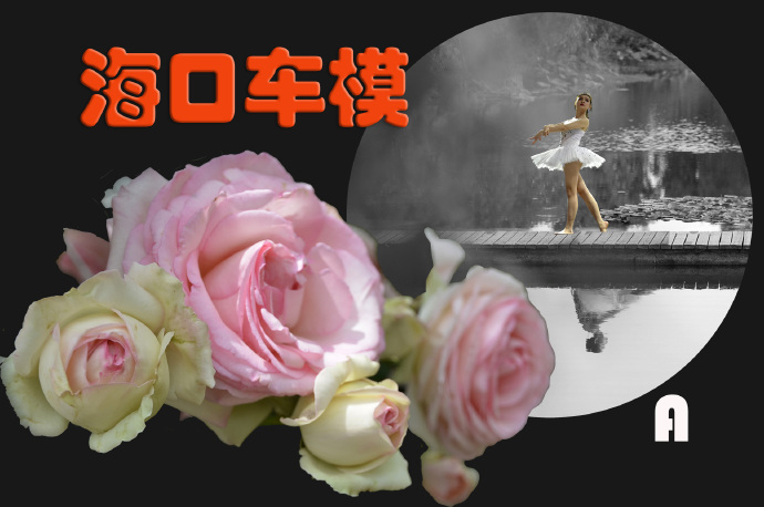 《海口车模》（1）