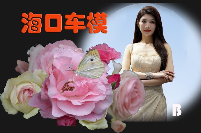 《海口车模》（2）