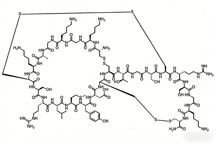 深海毒液的“华丽转身”：醋酸齐考诺肽守护无痛生活