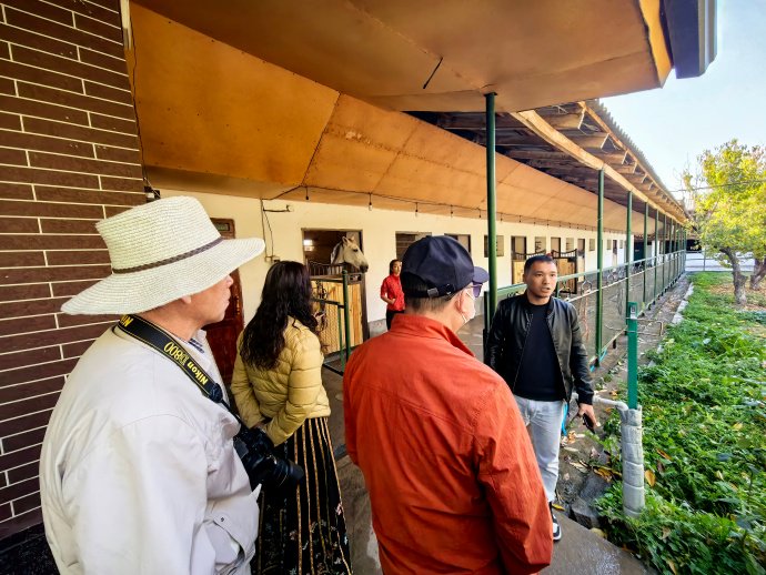 重回塔什干第一游:马场参观汗血宝马