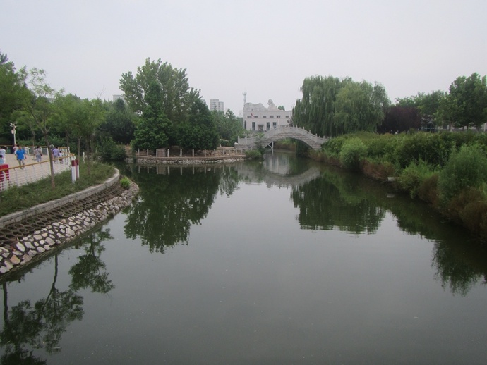 被关禁闭的水禽