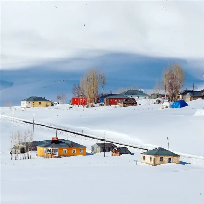 雪后，又见一幅画！