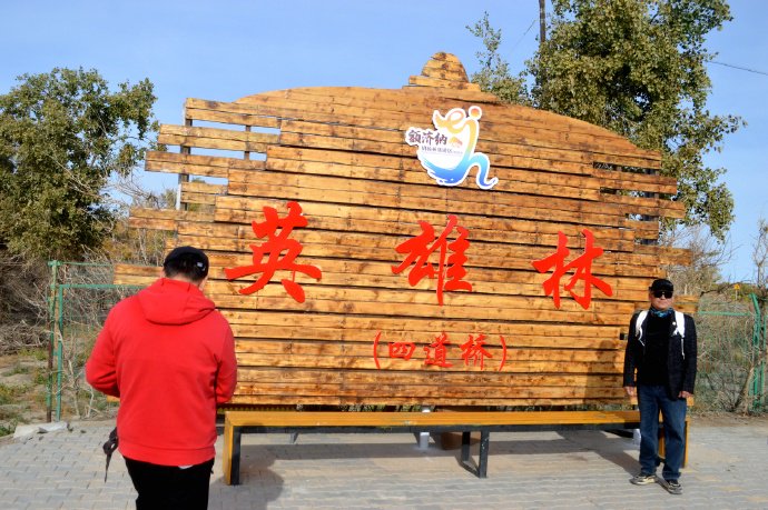 【内蒙古额济纳旗】四道桥：英雄林里拍《英雄》