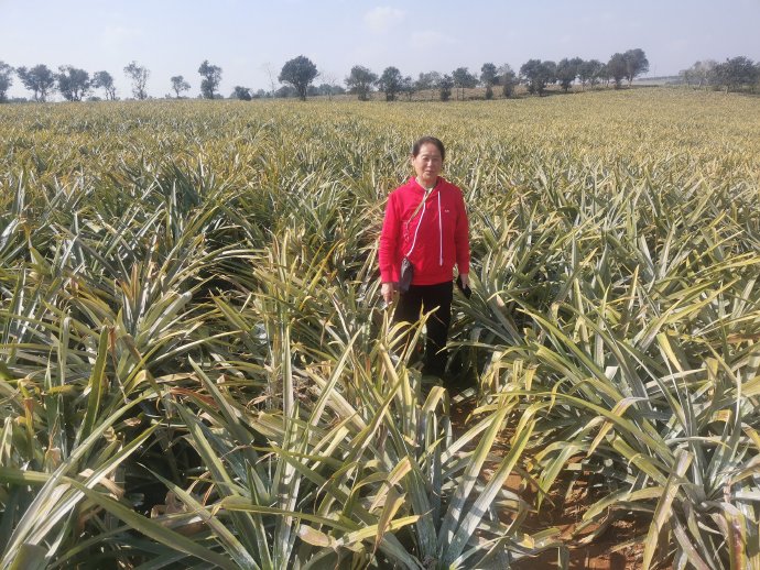 忆仙姿·雷州——2026自驾海南湛江篇（五）