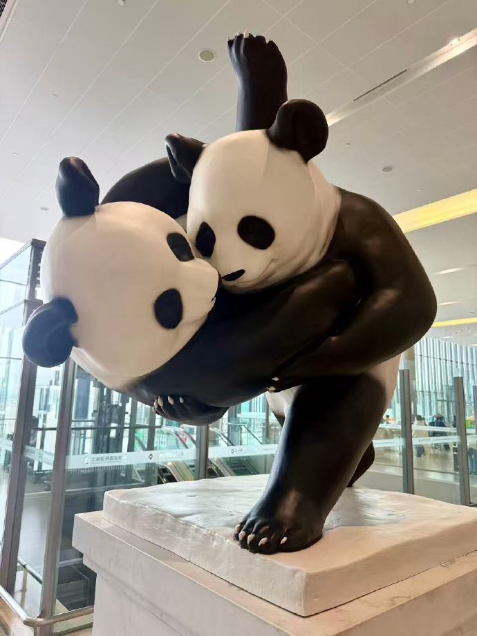 2026小胖猪猪东京游：上海虹桥T1-东京羽田T3