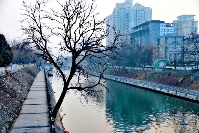 2026年元旦，晨雾长安，城墙漫步赴新年