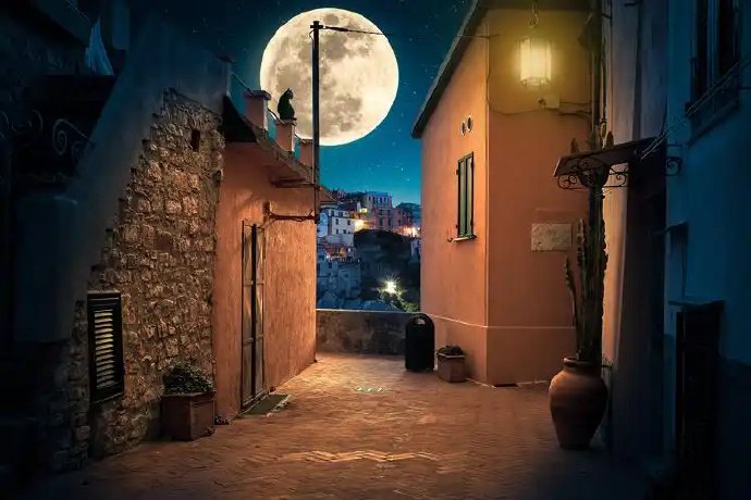 白天不懂夜的黑(散文)