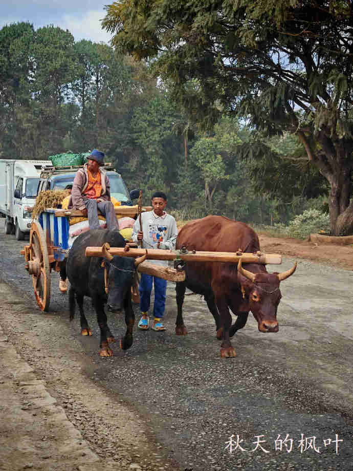路拍农村【马达加斯加】