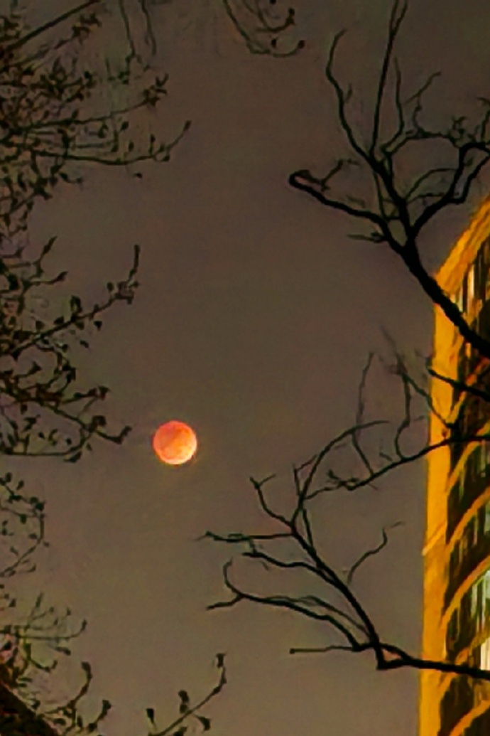 十五的月亮十六圆