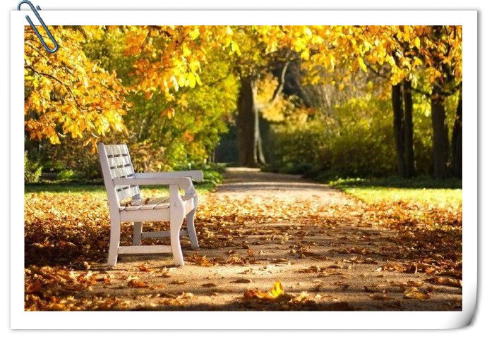 春染花香的诗意