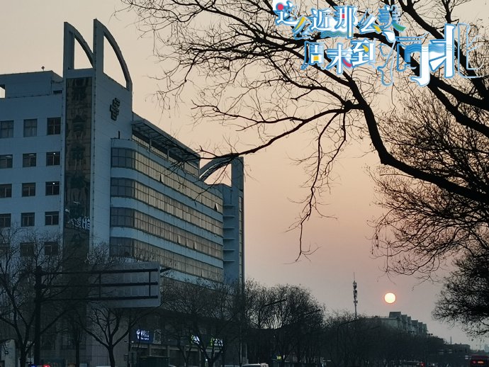 金陵群芳（续）