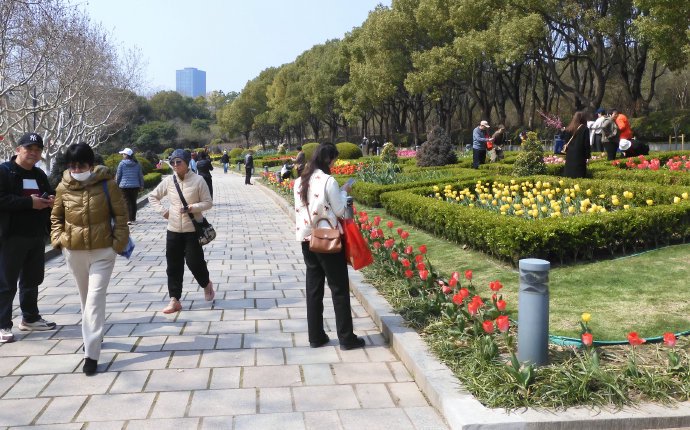 上海世纪公园局部揽胜