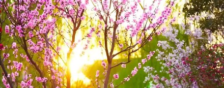 【原创】读诗人西山老王《诗歌.春风轻吹》有感