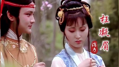 【我学京胡】枉凝眉（电视剧《红楼梦》主题曲）
