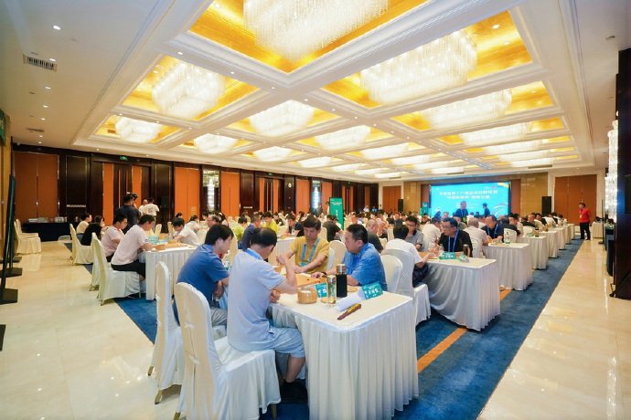 安徽省十六运会围棋赛之江淮群雄像