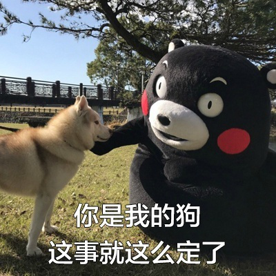 熊本熊表情包 | 你喜欢我就直说，大不了我答应你
