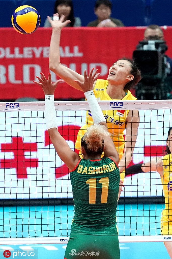 2019女排世界杯新浪专题,2019女排世界杯新浪专题报道