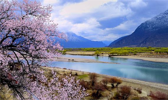 2018年自驾游西藏林芝桃花节行程需要注意什么？